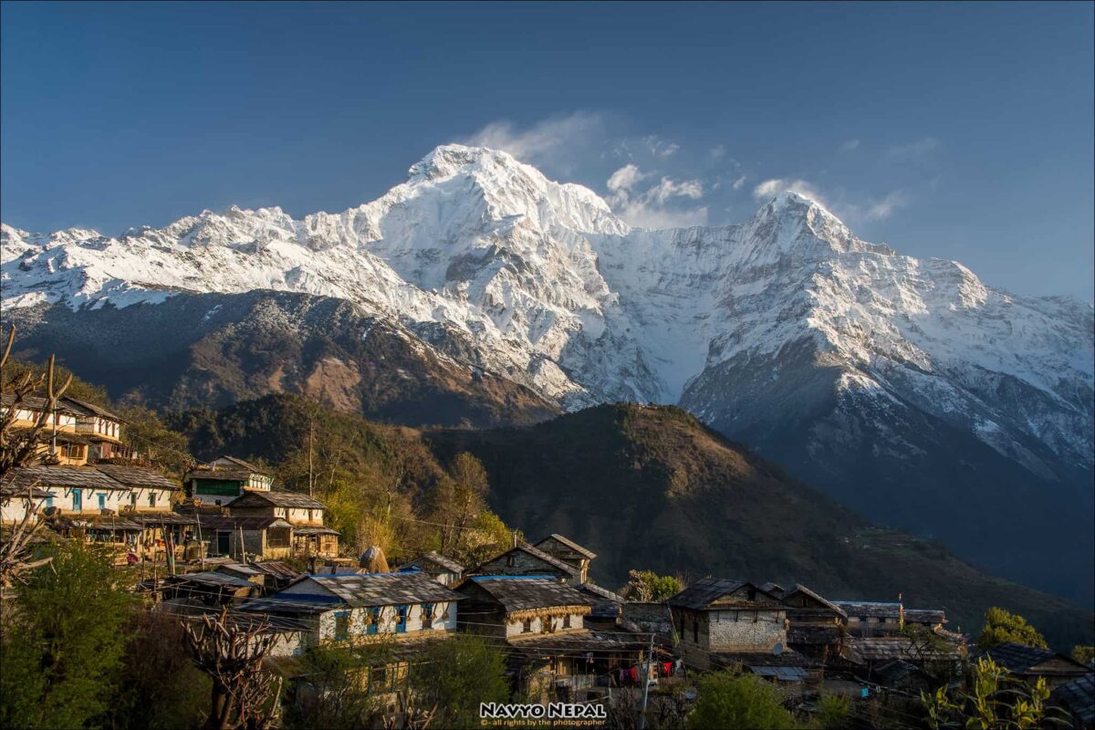 Nepal-Trek-Annapurna-Ghandruk-Annpurna-Dakshin-panorama