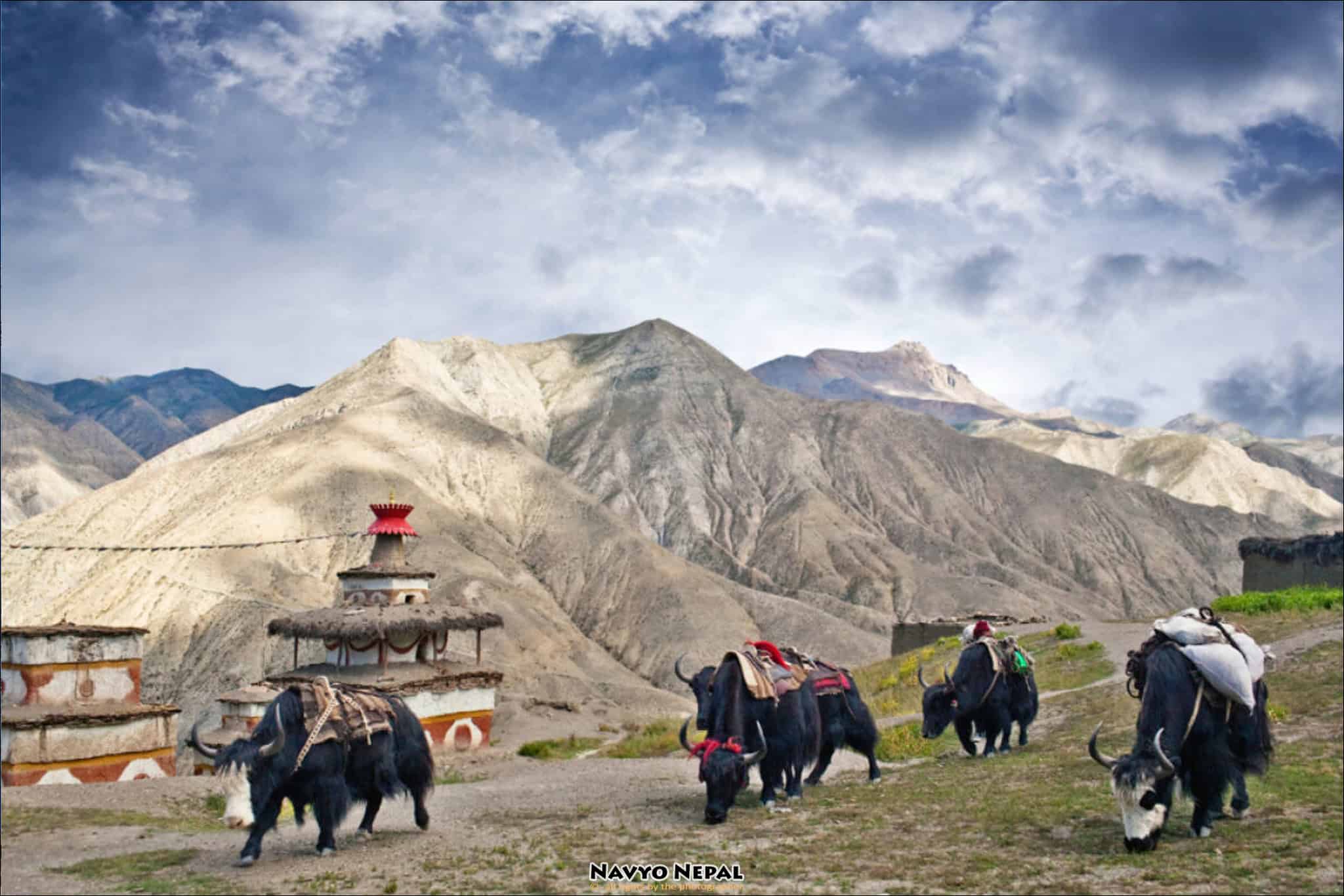 Nepal-Trek-Dolpo-01