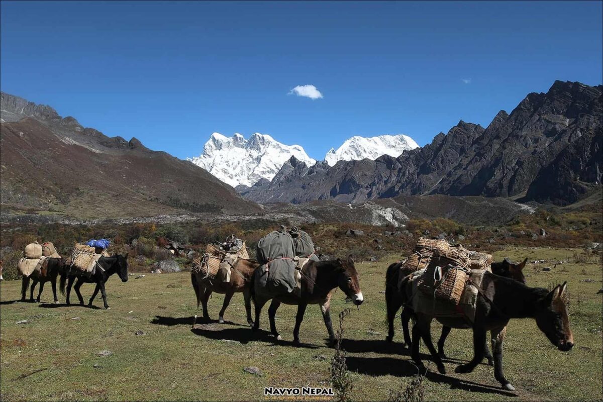 Druk Path trek