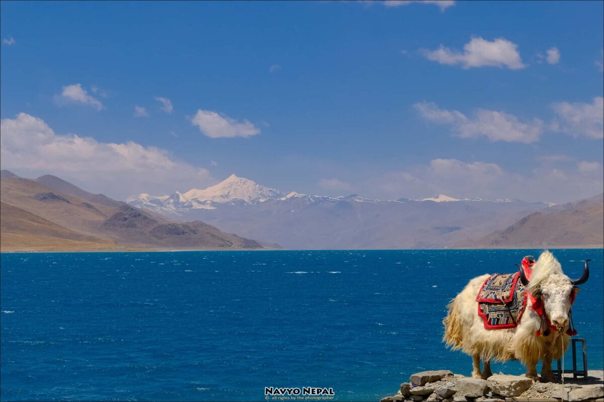 lago-yamdrok-tso